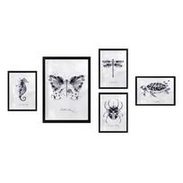 Paveikslai 5 vnt. rinkinyje Butterfly - Wallity