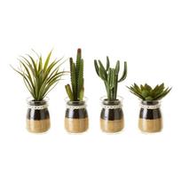 Dirbtiniai augalai 4 vnt. (aukštis 18 cm) Cactus – Casa Selección