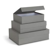 Pilkos spalvos iš kartono daiktadėžės su dangčiu 3 vnt. 42,5x29,5x13 cm Kian Paper Laminate – Bigso