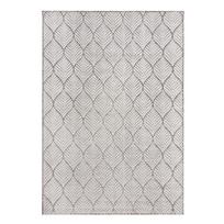Dramblio kaulo spalvos lauko ir vidaus kilimas 160x230 cm Elm Leaf – Flair Rugs