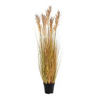 Dirbtinė žolė (aukštis 110 cm) Sorghum – House Nordic