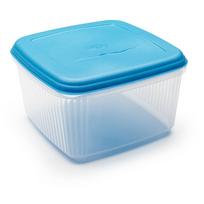 Stiklainis su dangteliu Addis Seal Tight Square Foodsaver, 10 l