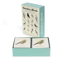 Atminties žaidimas Garden Birds – Rex London