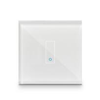 Iotty Smart 1-gang switch (no faceplate)