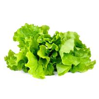 Click And Grow Click  AND  Grow Plant Pods 3-Pack - Green Lettuce - Green
