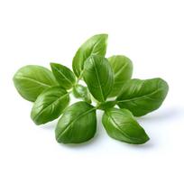 Click And Grow Click  AND  Grow Plant Pods 3-Pack - Basil