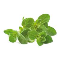 Click And Grow Click  AND  Grow Plant Pods 3-Pack - Oregano