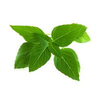 Click And Grow Click  AND  Grow Plant Pods 3-Pack - Thai Basil