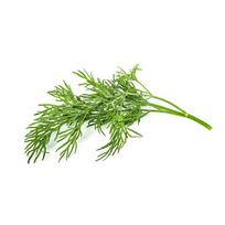Click And Grow Click  AND  Grow Plant Pods 3-Pack - Dill