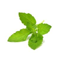 Click And Grow Click  AND  Grow Plant Pods 3-Pack - Holy Basil