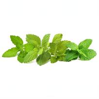 Click And Grow Click  AND  Grow Plant Pods 9-Pack - Calming Tea Blend