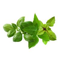 Click And Grow Click  AND  Grow Plant Pods 9-Pack - Basil Variety Mix