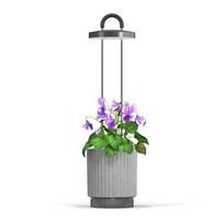 Click And Grow Click  AND  Grow HydroVase - Grey