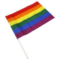 Vėliava Pride (43 x 31 cm)