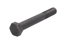 Lingės tvirtinimo varžtas - 120/2mm,