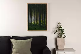 Paveikslas Woods - 50x70