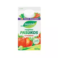 Raugintos pasukos ,,GAMTOS" su braškėmis, 0,3% rieb., 0,5 kg