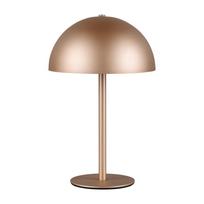 Bronzinės spalvos stalinis šviestuvas LED (aukštis 21 cm) su metaliniu gaubtu Munoz – Reality