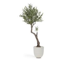 Dirbtinis alyvmedis (aukštis 140 cm) Olive – Kave Home