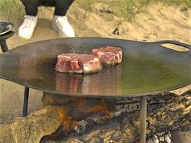 Plieninė Keptuvė WILD CHEF Ø 48