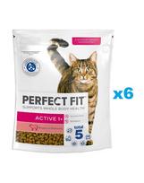 PERFECT FIT Active 1+ 6x750 g sausas visavertis pašaras suaugusioms katėms, kuriame gausu jautienos