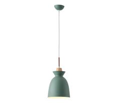 Pakabinamas sietynas 1xE27/15W/230V žalia diametras 19,5 cm