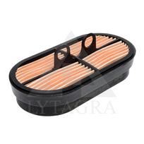 Variklio oro filtras 87037985
