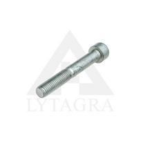 Varžtas M10X70 900001350