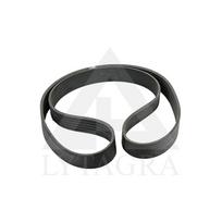 Pagrindinis diržas galinis 270096101/270096100