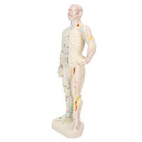 26cm Profesionali Unisex PVC Akupunktūros Taškų Žmogaus Kūno Modelis Mokymo Priemonė