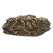 Dinozauro fosilija Akvariumo dekoracija Derva Roplių ornamentas Akvariumo gyvūnų rankdarbis žuvų akvariumui