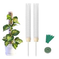 Samanų stulpas 25cm Plastikai Kokoso plaušas Samanų Toteminis stulpas Lazdelė Augalų kuolai ir atramos Vijokliniai Kambariniai