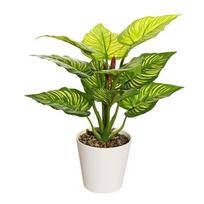 Dirbtinis augalas Bonsai Realistiškas Dekoratyvinis Kambarinis Dirbtinis Vazoninis Augalas Namams 61894 61894