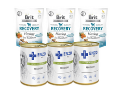 BRIT CARE DOG FUNCTIONAL SNACK RECOVERY HERRING 3x150g + ENZO VET Atkūrimo dieta šunims 3x400g