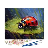 PAINTPLUS Tapyba pagal skaičius, 40 x 50 cm, boružėlė