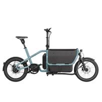 El. Dviratis Riese & Müller Carrie vario Aqua Intuvia 100 545Wh Flex Box, child seat, rain cover