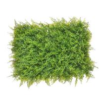 Kvadratinė dirbtinės vejos siena vestuvėms 40*60cm Dekoracija Lapija #2