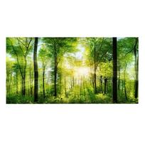 3D efektas lipdukas miško plakatas akvariumo žuvų auginimo dėžutės dekoravimui 122 x 50cm