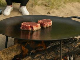 Plieninė Keptuvė WILD CHEF Ø 48