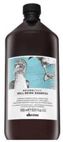 Davines NATURALTECH Well-Being Šampūnas geros savijautos šampūnas, 1000 ml