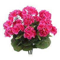 Dirbtinių pelargonijų gėlių rinkinys, Rosey