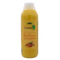 Mėmelio fermentuotas BACTOHOUSE ciberžolių skonio 1000 ml. - Ciberžolių skonio