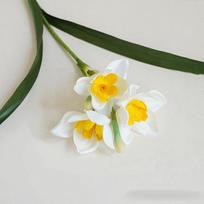 3/5/10 vnt. Dirbtinės Narcizų Gėlės Baltas Narcizas Pavasarinė Gėlė Dirbtinės Šilko Gėlių Kompozicija Namams Vestuvėms Lauko Dekoravimui 3pcs