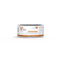 VetExpert VD Cat Intestinal 100g | 9949 | 5902414203525