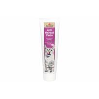 Flamingo ANTI-HAIRBALL PASTE DAGGI 100GR | 11022 | 5400585180367
