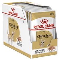 Royal Canin BHN WET Chihuahua 12x85g | 5893 | 9003579001509