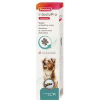 Beaphar IntestoPro L Dog Paste 2x20 ml | 112695 | 8711231190881