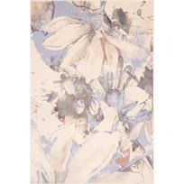 Kilimas iš vilnos kreminės spalvos 160x240 cm Lilia – Agnella