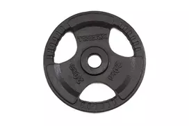 Svoriai štangai TOORX DGN-TG20 D50mm 20kg