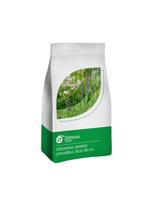 Vejų žolių sėklų mišinys ROAD DP, 20 kg